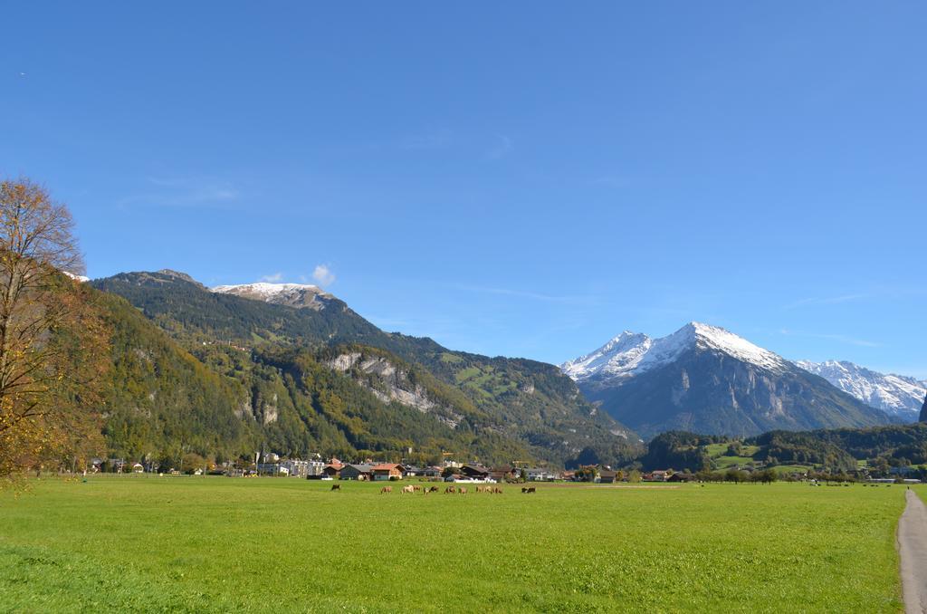 Mountain-Panorama Apartment Meiringen Ngoại thất bức ảnh