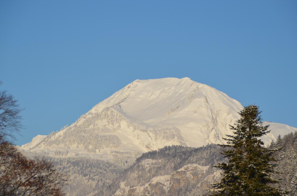 Mountain-Panorama Apartment Meiringen Ngoại thất bức ảnh