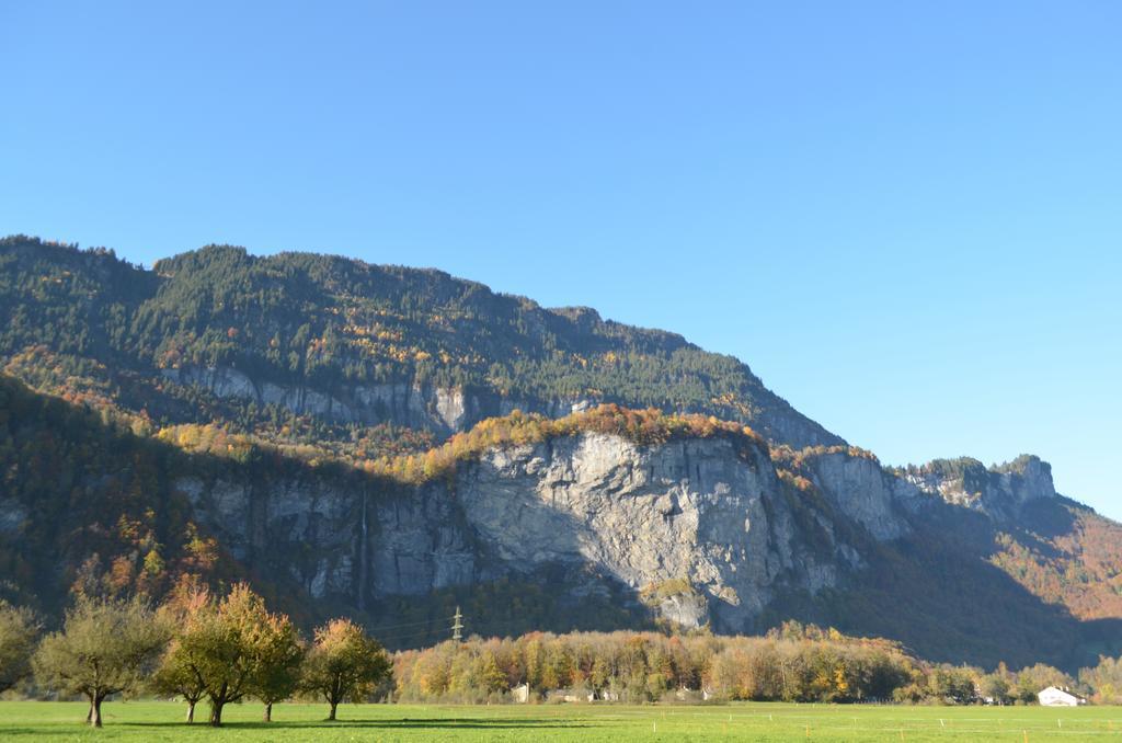 Mountain-Panorama Apartment Meiringen Ngoại thất bức ảnh